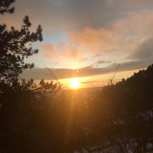 Meet your Posher, Lili